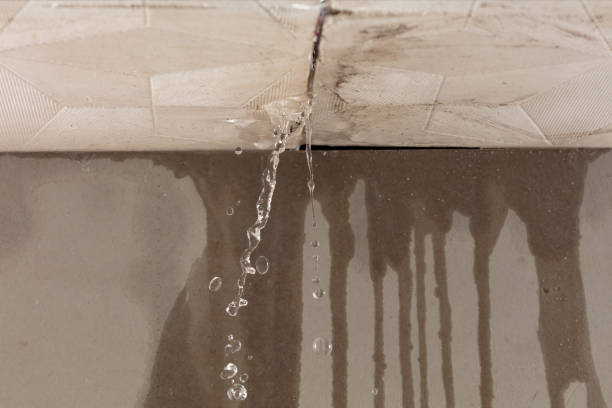 Professional Structural Drying technician working in Bluffton, OH